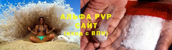 сатива Магас