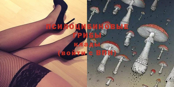 сатива Магас