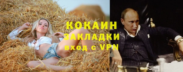 гидра Лиски