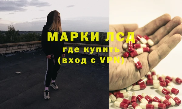 стаф Бердск